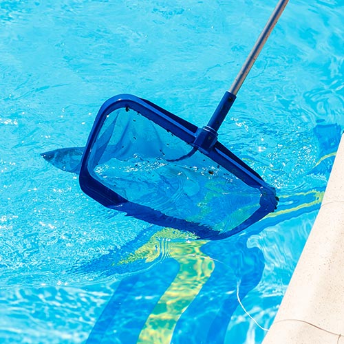 Pool Cleaning Service