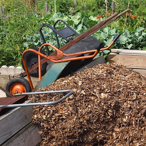 Mulch Landscaping